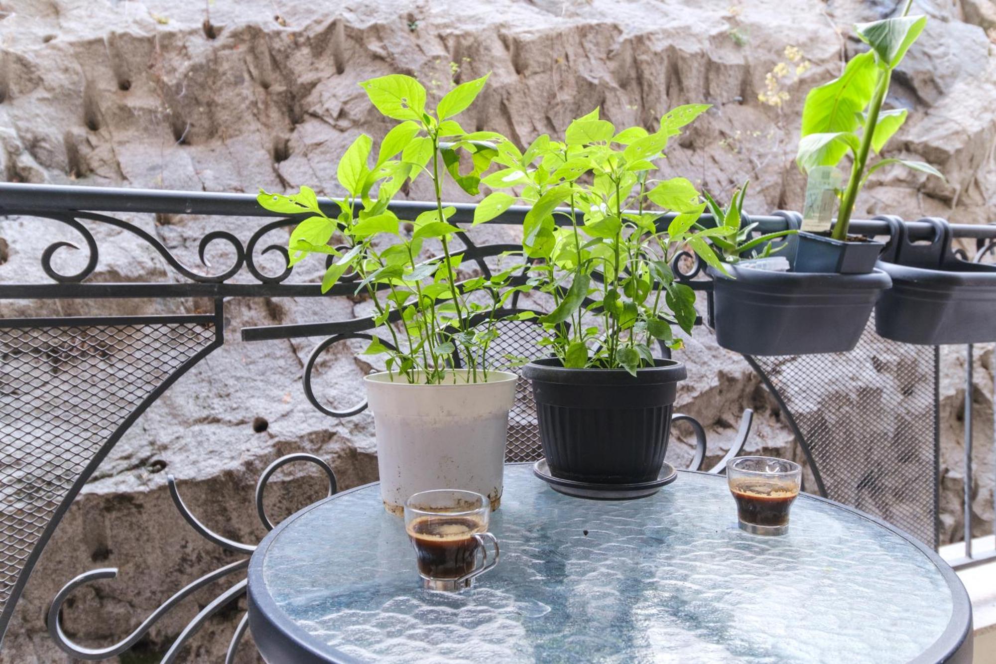 פלובדיב Chic Luxury Escape Close To Kapana Area מראה חיצוני תמונה